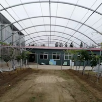 Grande serre de jardin en PVC à haut tunnel de plain-pied pour la conservation de la chaleur Protection contre la pluie pour les légumes Fruits Grains de Thaïlande