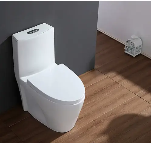 2022 sıcak satış sıhhi tesisat seramik Wc banyo tuvalet kase marka çift gömme zemin monte tek parça tuvalet