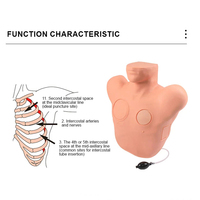 Simulador de Entrenamiento para Neumotórax BIX-LQ7, Modelo de Descompresión Torácica, Maniquí de Entrenamiento Médico para Neumotórax por Tensión
