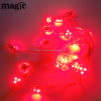 DMX 512 UCS1903 WS2811 12V SPI RGB Numérique 30mm Pixel LED Adressable IP67 pour Éclairage Décoratif de Paysage
