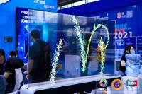 Vitrine d'affichage OLED transparente 55 pouces avec écran tactile holographique pour signalisation numérique, expositions d'art muséales et publicité (ODM)