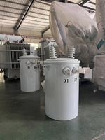 Transformateur monophasé monté sur poteau, prix d'usine, 50 kVA, 100 kVA, 167 kVA, 34,5 kV/0,48 kV