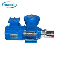 Pompe doseuse magnétique à engrenages en acier inoxydable pour la production ou la distillation d'hydrogène