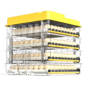WONEGG Machine d'incubation avicole à haute capacité (100-200 œufs), incubateur automatique à raccordement continu à faible coût - Product Image 6