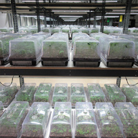 En plastique Microgreen Légumes Fleur Plantes Hydro Croissance Hydroponique Inondation Et Vidange Plateau Carry Plateau Pépinière