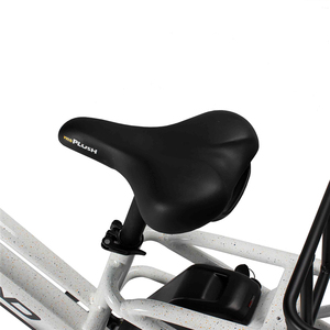 JOYKIE ล้อรถจักรยานไฟฟ้าจักรยานขนส่งสินค้า20นิ้ว,รุ่น48V 500W แบบสเต็ปผ่านไขมันจักรยานไฟฟ้าแบตเตอรี่คู่ - Product Image 6