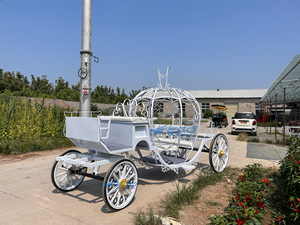Carruaje Eléctrico de Hierro Blanco Estilo Real, el Más Vendido, Carruaje Eléctrico Blanco para Bodas y Turismo - Product Image 3
