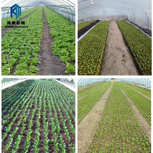 Sicurezza e verdure affidabili per <span class=keywords><strong>seminatrice</strong></span> di <span class=keywords><strong>erba</strong></span> da <span class=keywords><strong>giardino</strong></span> - Product Image 6