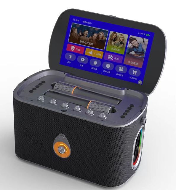 Portable small 4Inch Display Touch Screen Karaoke Party Android 11 Smart System Multi-Functional for 5.0 Wireless USB Aux RGB