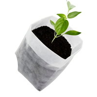 Lot de 100 sacs de culture rectangulaires respirants en non-tissé pour culture en étagère, herbes de balcon et aménagements de jardins compacts