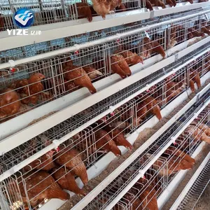 Hot Sale Poultry Farm Uganda Layer Farm Chicken CageためPoultry Equipment 10 Sets Cage Hot Dipped Galvanized Wire Mesh Provided