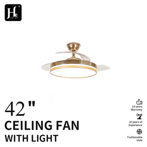 Variable frequency <b>remote</b> <b>control</b> <b>ceiling</b> fan indoor decoration fan Dc motor invisible Bldc <b>ceiling</b> fan with LED <b>light</b> - Product Image 2