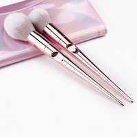 Ensemble professionnel de 10 pinceaux de maquillage roses, pinceau à paupières portable, capacité de préhension de la poudre forte, pinceau cosmétique