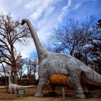 Attrayant Long Cou Dinosaure Animatronic Modèle Télécommande En Métal Affichages Extérieurs pour Centres Commerciaux Jardin