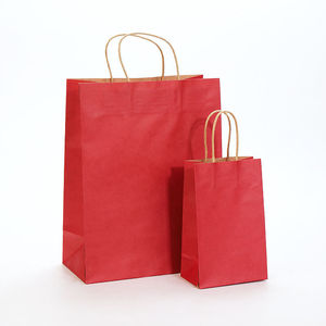 Bolsa de Compras de Papel Kraft con Asas Retorcidas, Impresión Personalizada, Embalaje Ecológico, Proveedor Mayorista - Product Image 4