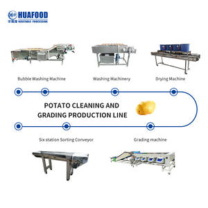 自動ポテトソーターとグレーダー梱包住宅用 - Product Image 4