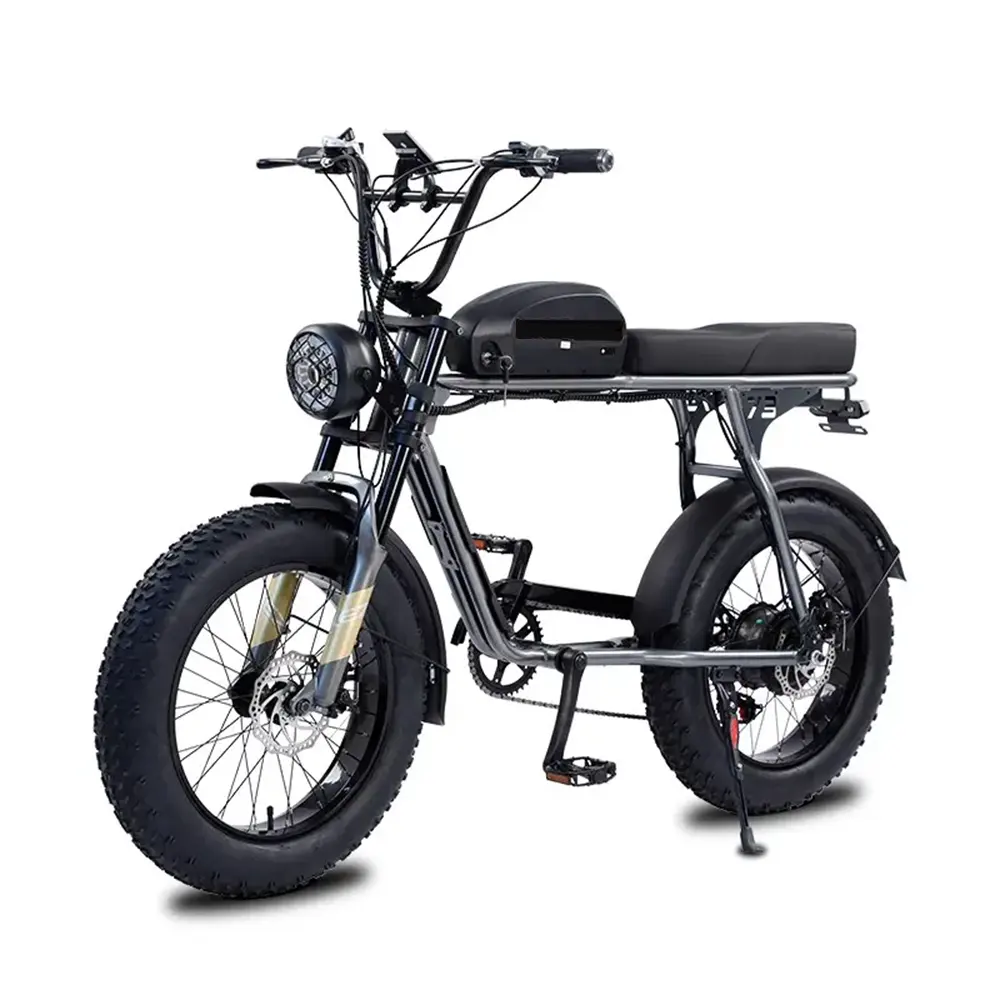 Super Electric Dirt Bike 73 For Young Man 20*4.0 inch Fat Tire Electric Bike Steel Frame Bicycle