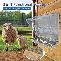 Râtelier à foin de chèvre à faces multiples Râtelier à foin en métal robuste pour moutons, chevaux