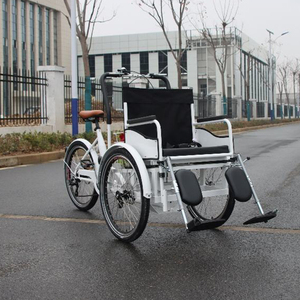 Fauteuil roulant électrique de haute qualité, vélo cargo électrique <span class=keywords><strong>pour</strong></span> personnes handicapées et personnes âgées, 3 roues <span class=keywords><strong>pour</strong></span> adultes, <span class=keywords><strong>pour</strong></span> 2 personnes, différentiel - Product Image 3