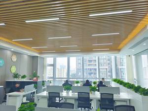 Controlador de Almacenamiento Inalámbrico HPE MR416i-o Gen11 X16 Lanes 8GB Cache OCP SPDM P47781-B21 en Stock - Product Image 4