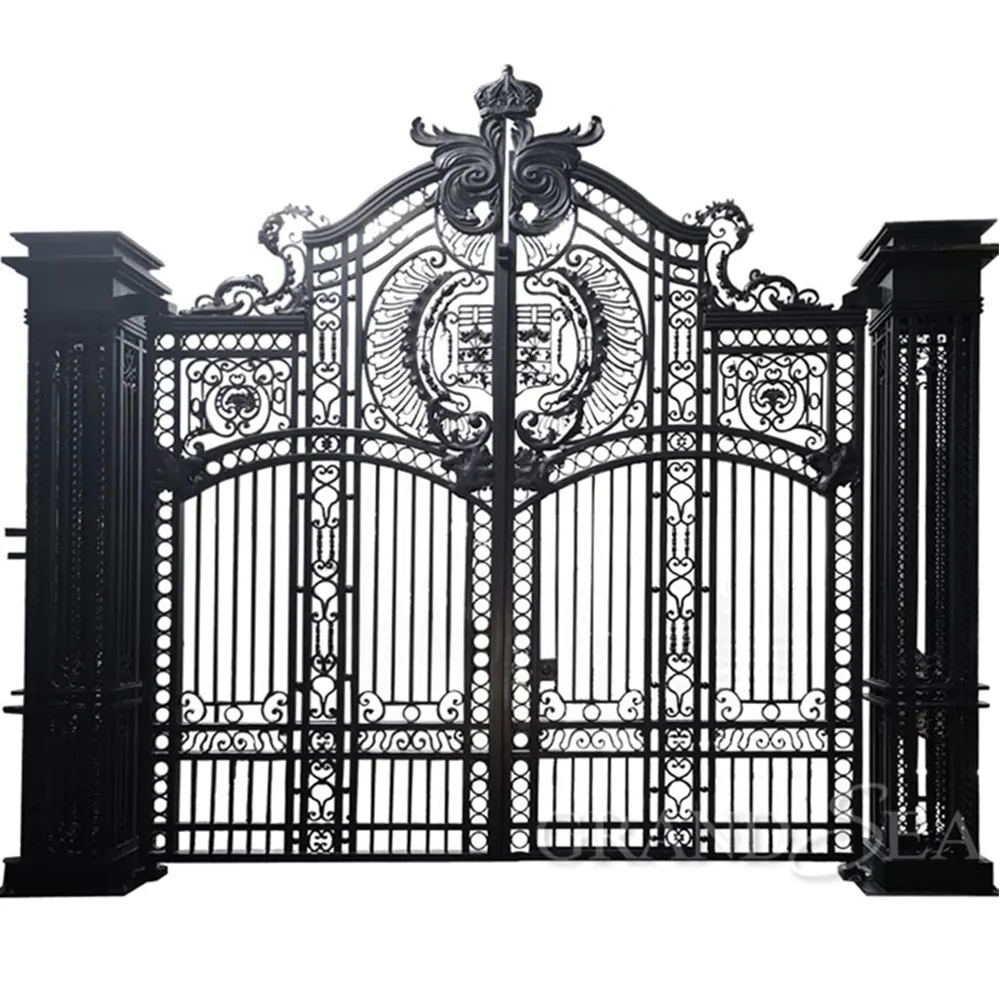 Puerta de Hierro forjado para entrada personalizada, diseño de puerta principal de hierro galvanizado, profesional