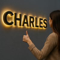Enseigne de boutique en lettres 3D personnalisées en or Enseigne de magasin Enseigne de canal d'affaires de bâtiment rétroéclairé Enseigne de lettre LED de devanture extérieure