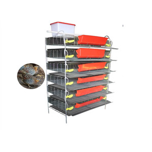 Cage d'élevage de caille commerciale - Product Image 1