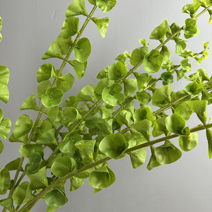 Petite plante artificielle fraîche en plastique, simulation de coquillage, branche unique, pour décoration intérieure, extérieure ou de bureau - Product Image 4