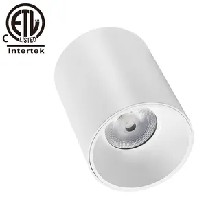 ETL Approved 4'' Narrow Angle Spread Angle 0-10V Dimmable Dali Dimming 20W 3000K IP65 Waterproof Surface Mounted LED Downlight