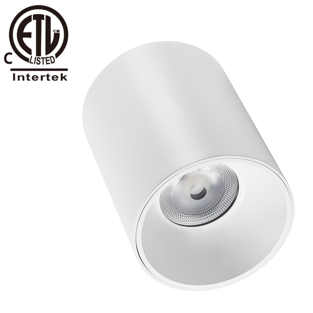 ETL Approved 4'' Narrow Angle Spread Angle 0-10V Dimmable Dali Dimming 20W 3000K IP65 Waterproof Surface Mounted LED Downlight