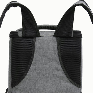Doble almuerzo bolsa suave de bolsa de playa picnic <span class=keywords><strong>camping</strong></span> refrigerador aislado bolsa de <span class=keywords><strong>mochila</strong></span> - Product Image 4