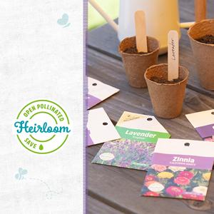 Variété de 5 fleurs biologiques faciles à cultiver, incluant la zinnia, le tournesol, le souci, le cosmos et la <span class=keywords><strong>lavande</strong></span> - Product Image 3