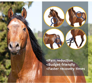 Equine PEMF LOOP Thérapie électromagnétique professionnelle Traitement sûr et efficace réduit la douleur Gonflement des douleurs pour les chevaux - Product Image 2