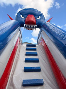 Château gonflable classique coloré personnalisé, structure de saut commerciale avec toboggan intégré, équipement de jeu extérieur pour enfants - Product Image 6