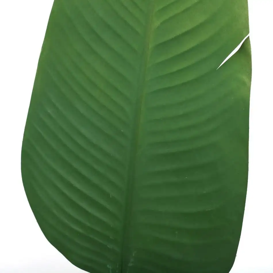 Foglie di palma artificiale all'ingrosso della fabbrica tocco naturale verde della pianta di palma del pu lascia la decorazione essiccata foglia di banana artificiale popolare