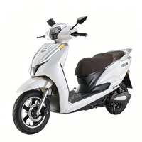 Sepeda Listrik 800W-1000W Sepeda Motor Listrik 48v/60v Bersepeda Perkotaan Energi Baru Skuter Listrik Rendah Karbon