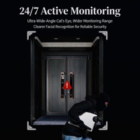 Serrure intelligente à reconnaissance faciale pour portes doubles extérieures - Serrure de portail de villa automatique, étanche et résistante au soleil