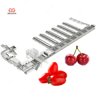 Fabriksprijs 200 kg fruit- en groentesorteermachine, koffiekersen- en koffiebonen sorteermachine voor olijven