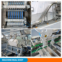 Machine d'emballage automatique multivoies pour sachets de sel et de poivre, cartons et boîtes, 5g, pour épices granulées (comin)