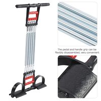 Équipement de gymnastique Sports Home Use Multi Functional Foot Pedal Spring Chest Expander