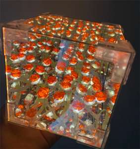 Paquete de Materiales DIY Hecho a Mano Lámpara de Noche con Espejo Cuadrado de Tulipanes Decoración <span class=keywords><strong>para</strong></span> el Hogar 20 Flores Tulipanes Infinitos Lámpara de Cubo con Espejo LED de Tulipán - Product Image 2