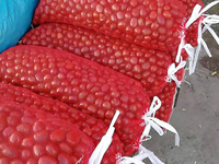 Sac de filet végétal tubulaire en plastique tricoté sac de tuyau de fruit sac en bois peut être personnalisé
