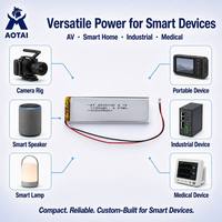Baterai Lithium Polymer LiPo Isi Ulang Kustom Grosir Sel 4025100 3.7V 1100mAh untuk Audio Visual Slim OEM