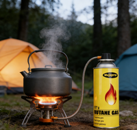 Bonbonne de gaz butane de qualité industrielle, carburant longue durée, non toxique, haute efficacité de combustion pour le camping, la randonnée et les pique-niques