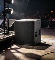 Subwoofer professionnel compact de 12 pouces (poids net de 28 kg, 42 Hz-1500 Hz) Conception passive 8 ohms pour bars, clubs et installations fixes