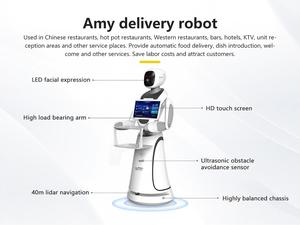 Robot humanoïde, robot serveur de restaurant, robot de service/distribution de nourriture/plats - Product Image 3