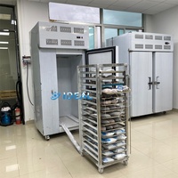 Congélateur à plaques haute vitesse à congélation rapide, équipement de congélation rapide et efficace en acier inoxydable 304, contrôle de température -45°C