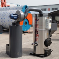 Chauffe-eau à tubes de fumée à biomasse entièrement automatique à basse pression pour le chauffage industriel et commercial
