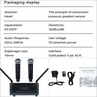 Système de microphone sans fil professionnel HX2, nouvelle conception, UHF, avec un excellent prix, système de microphone sans fil professionnel UHF