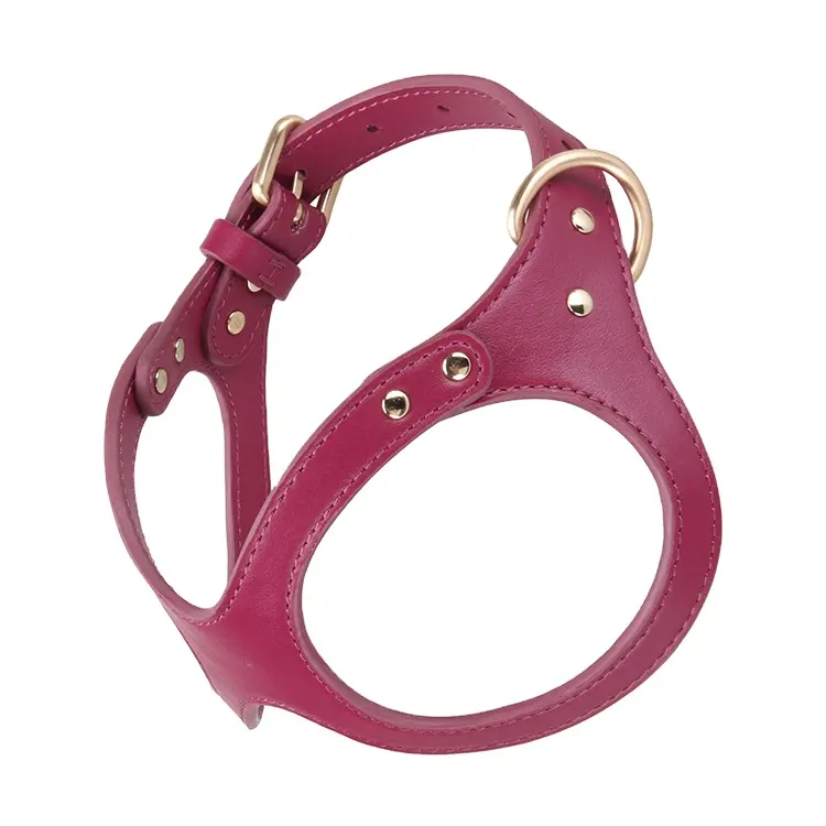 New design pet accessories dog chest luxury fashion genuine leather adjustable harness for dog